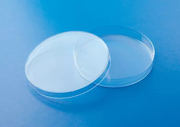 boîtes de Petri